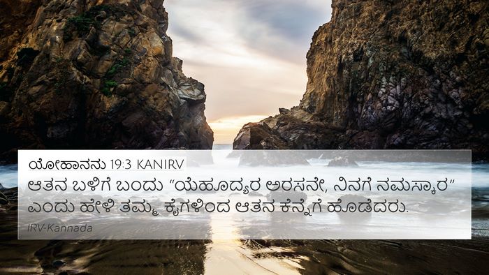ಯೋಹಾನನು 19:3 KANIRV Bible Verse Image