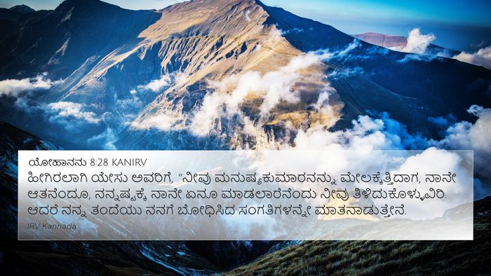 ಯೋಹಾನನು 8:28 KANIRV Bible Verse Image