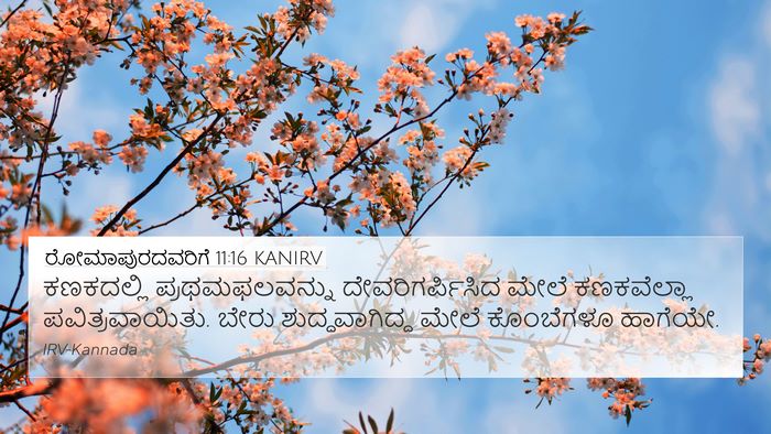 ರೋಮಾಪುರದವರಿಗೆ 11:16 KANIRV Bible Verse Image