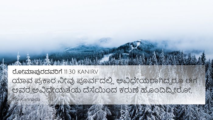 ರೋಮಾಪುರದವರಿಗೆ 11:30 KANIRV Bible Verse Image