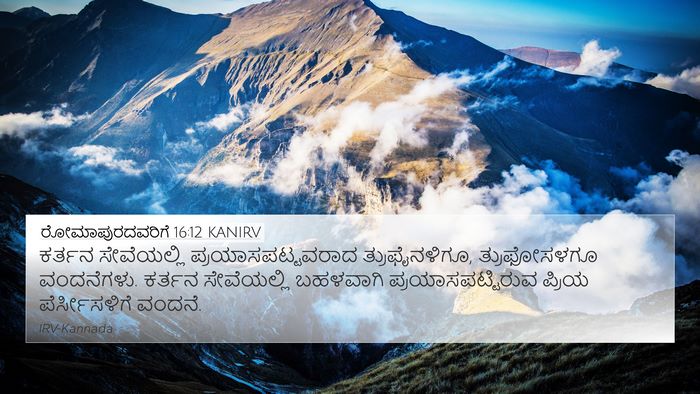 ರೋಮಾಪುರದವರಿಗೆ 16:12 KANIRV 4K Wallpaper - ಕರ್ತನ ಸೇವೆಯಲ್ಲಿ - 4K Wallpaper Bible Verse