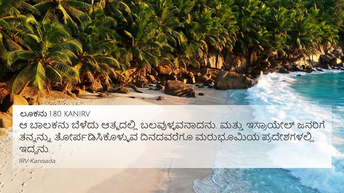 ಲೂಕನು 1:80 KANIRV Bible Verse Image