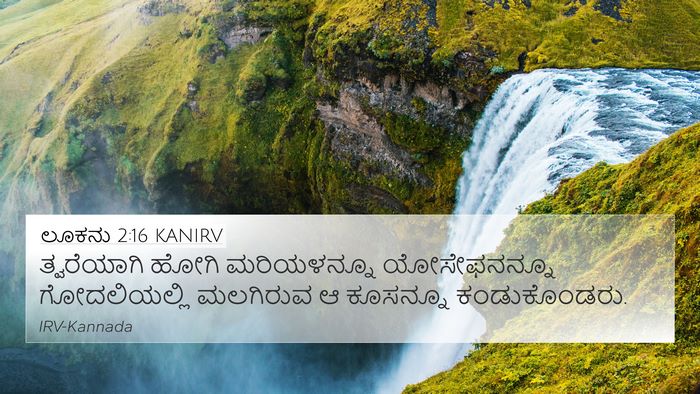 ಲೂಕನು 2:16 KANIRV Bible Verse Image