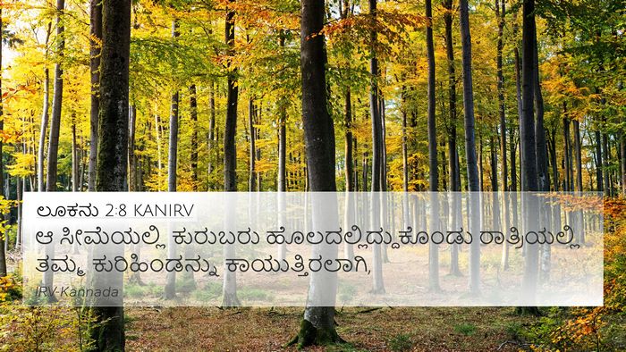 ಲೂಕನು 2:8 KANIRV Bible Verse Image