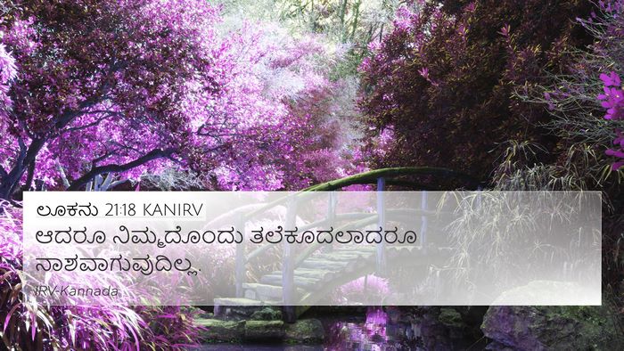 ಲೂಕನು 21:18 KANIRV Bible Verse Image