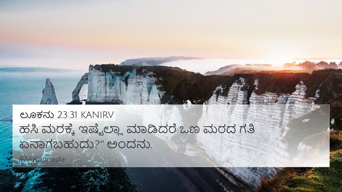 ಲೂಕನು 23:31 KANIRV Bible Verse Image