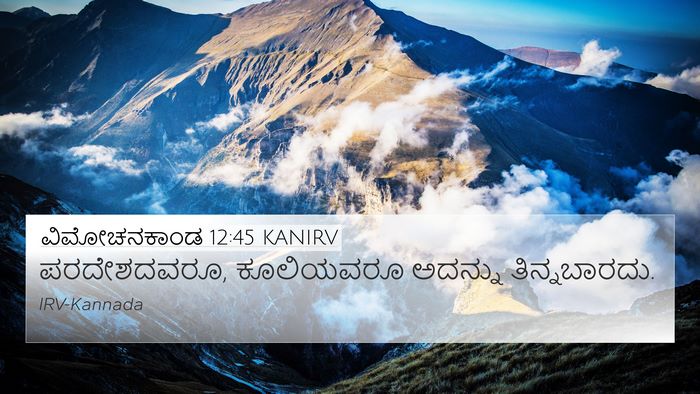 ವಿಮೋಚನಕಾಂಡ 12:45 KANIRV 4K Wallpaper - ಪರದೇಶದವರೂ, - 4K Wallpaper Bible Verse