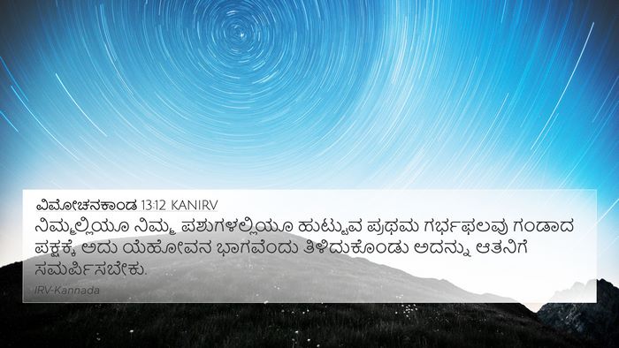 ವಿಮೋಚನಕಾಂಡ 13:12 KANIRV Bible Verse Image
