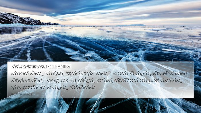 ವಿಮೋಚನಕಾಂಡ 13:14 KANIRV Bible Verse Image