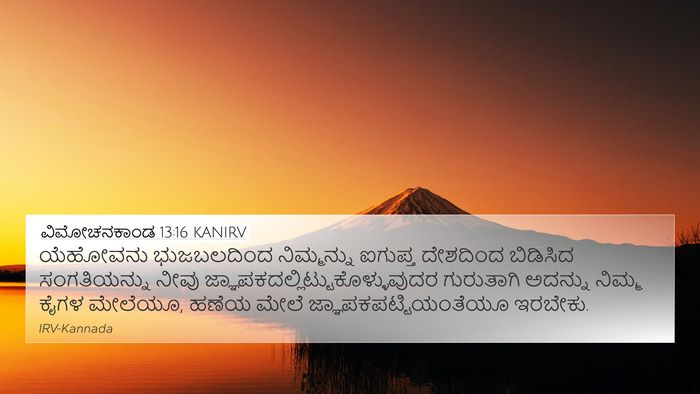 ವಿಮೋಚನಕಾಂಡ 13:16 KANIRV Bible Verse Image