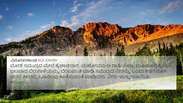 ವಿಮೋಚನಕಾಂಡ 14:21 KANIRV Bible Verse Image
