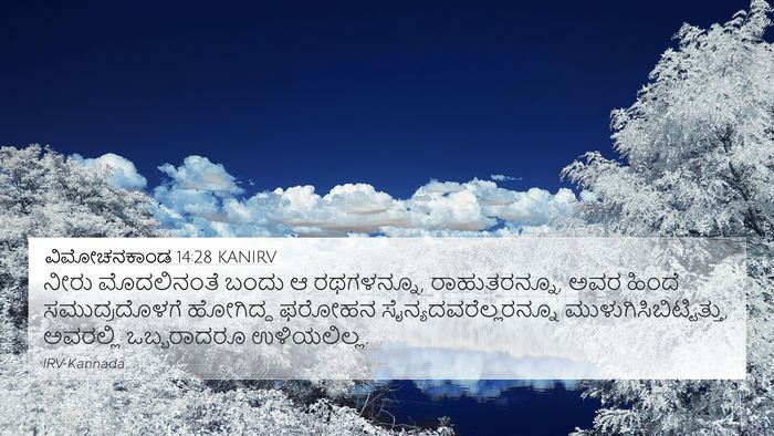 ವಿಮೋಚನಕಾಂಡ 14:28 KANIRV Bible Verse Image