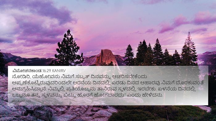 ವಿಮೋಚನಕಾಂಡ 16:29 KANIRV Bible Verse Image