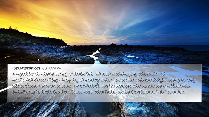 ವಿಮೋಚನಕಾಂಡ 16:3 KANIRV Bible Verse Image