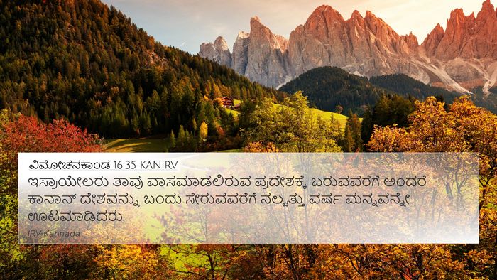 ವಿಮೋಚನಕಾಂಡ 16:35 KANIRV Bible Verse Image