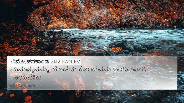 ವಿಮೋಚನಕಾಂಡ 21:12 KANIRV Bible Verse Image