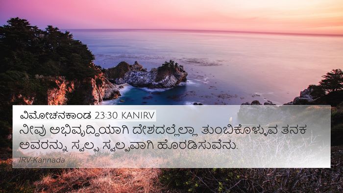 ವಿಮೋಚನಕಾಂಡ 23:30 KANIRV Bible Verse Image