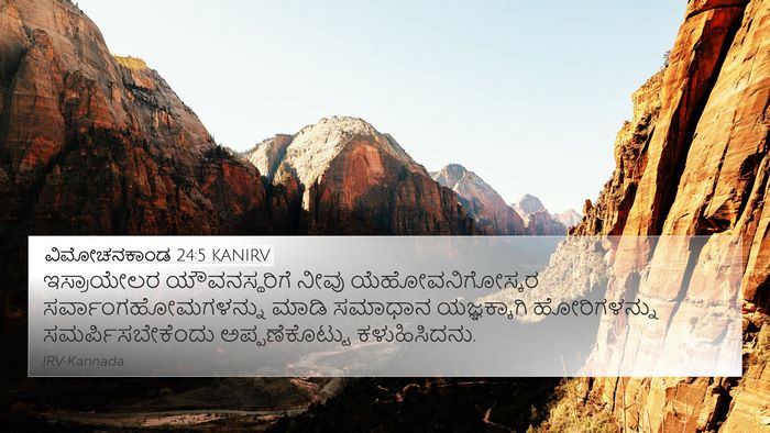 ವಿಮೋಚನಕಾಂಡ 24:5 KANIRV Bible Verse Image