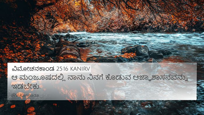 ವಿಮೋಚನಕಾಂಡ 25:16 KANIRV Bible Verse Image