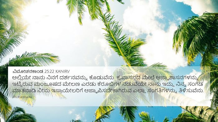 ವಿಮೋಚನಕಾಂಡ 25:22 KANIRV Bible Verse Image