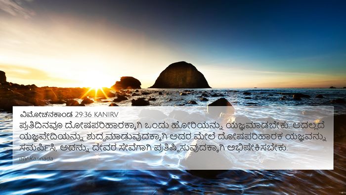 ವಿಮೋಚನಕಾಂಡ 29:36 KANIRV Bible Verse Image