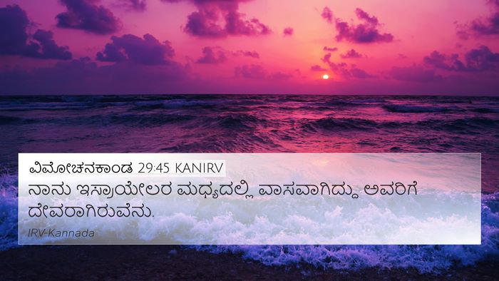 ವಿಮೋಚನಕಾಂಡ 29:45 KANIRV Bible Verse Image