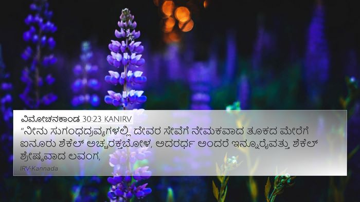 ವಿಮೋಚನಕಾಂಡ 30:23 KANIRV Bible Verse Image