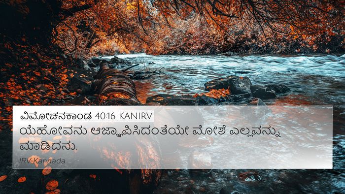 ವಿಮೋಚನಕಾಂಡ 40:16 KANIRV Bible Verse Image