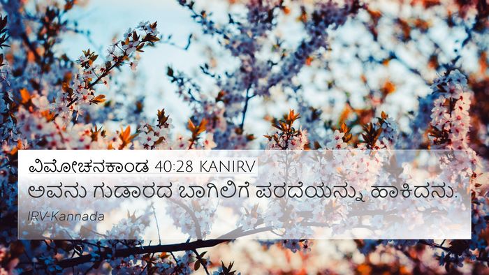 ವಿಮೋಚನಕಾಂಡ 40:28 KANIRV 4K Wallpaper - ಅವನು ಗುಡಾರದ - 4K Wallpaper Bible Verse