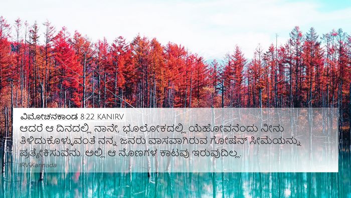 ವಿಮೋಚನಕಾಂಡ 8:22 KANIRV Bible Verse Image