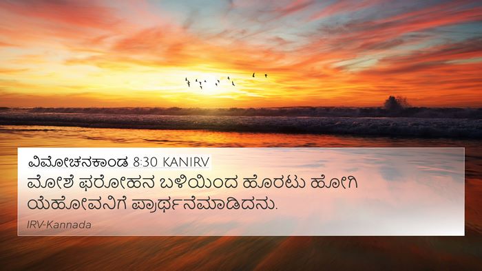 ವಿಮೋಚನಕಾಂಡ 8:30 KANIRV Bible Verse Image