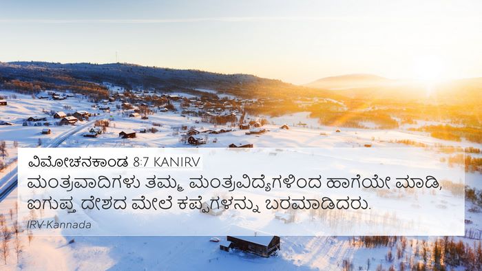 ವಿಮೋಚನಕಾಂಡ 8:7 KANIRV Bible Verse Image