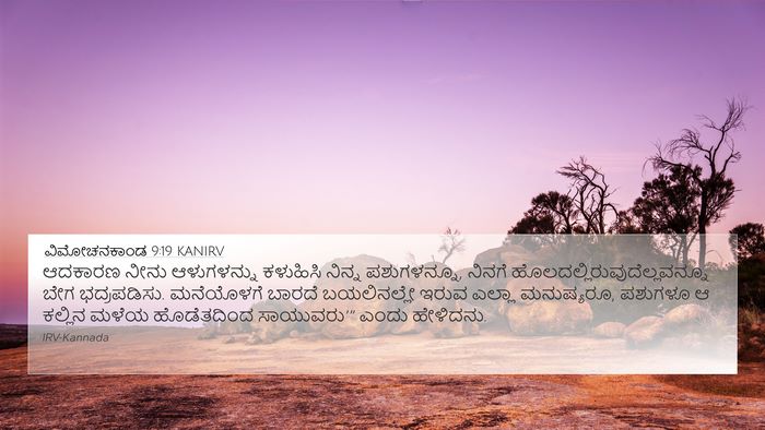 ವಿಮೋಚನಕಾಂಡ 9:19 KANIRV Bible Verse Image
