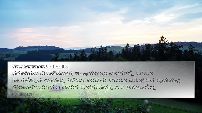 ವಿಮೋಚನಕಾಂಡ 9:7 KANIRV 4K Wallpaper - ಫರೋಹನು - 4K Wallpaper Bible Verse