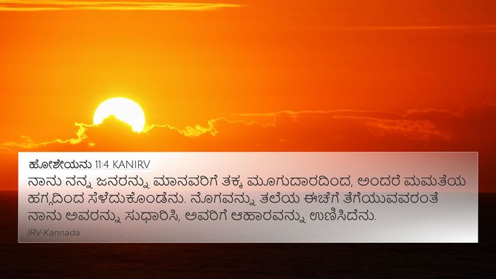 ಹೋಶೇಯನು 11:4 KANIRV 4K Wallpaper - ನಾನು ನನ್ನ ಜನರನ್ನು - 4K Wallpaper Bible Verse
