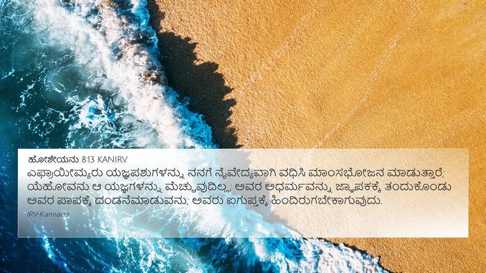 ಹೋಶೇಯನು 8:13 KANIRV Bible Verse Image