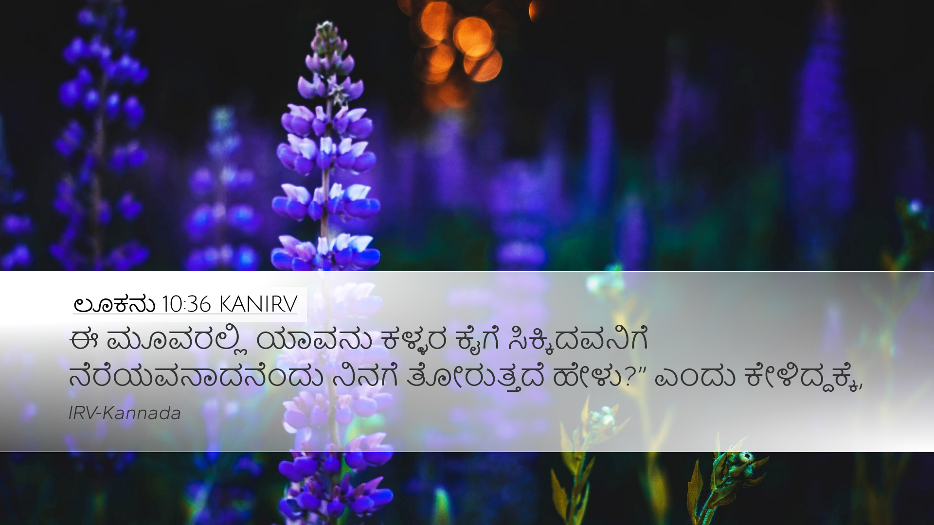 ಲೂಕನು 10:36 KANIRV Desktop Wallpaper - ಈ ಮೂವರಲ್ಲಿ ಯಾವನು