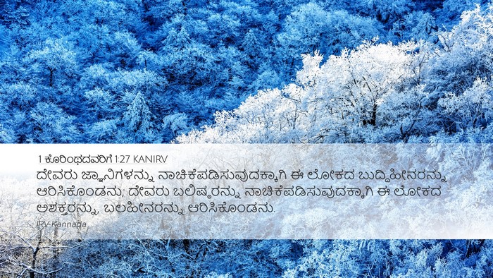 1 ಕೊರಿಂಥದವರಿಗೆ 1:27 KANIRV Bible Verse Image