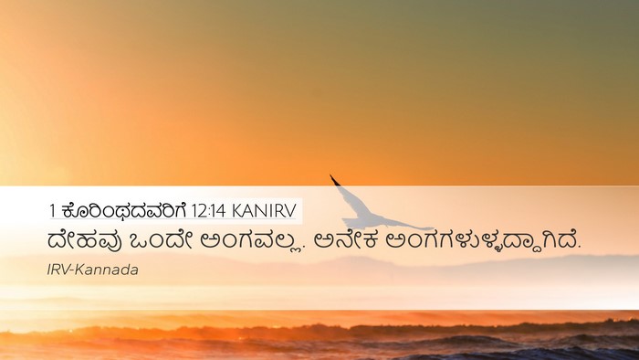 1 ಕೊರಿಂಥದವರಿಗೆ 12:14 KANIRV Bible Verse Image