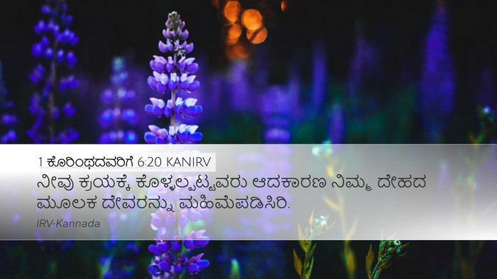 1 ಕೊರಿಂಥದವರಿಗೆ 6:20 KANIRV Bible Verse Image