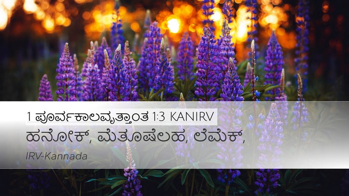 1 ಪೂರ್ವಕಾಲವೃತ್ತಾಂತ 1:3 KANIRV Desktop Wallpaper - ಹನೋಕ್, ಮೆತೂಷೆಲಹ, - Desktop Bible Verse Wallpaper