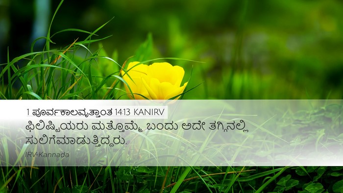 1 ಪೂರ್ವಕಾಲವೃತ್ತಾಂತ 14:13 KANIRV Bible Verse Image