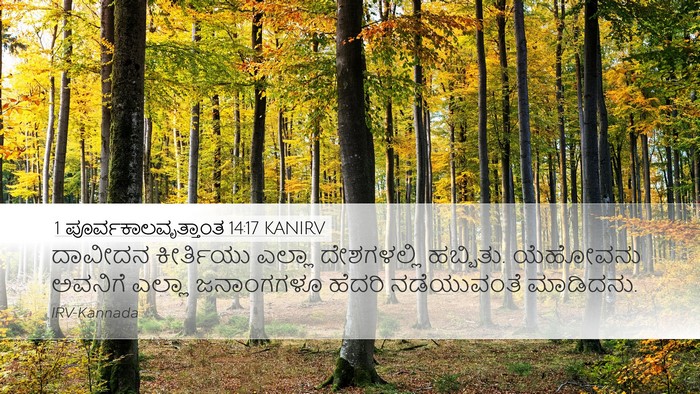 1 ಪೂರ್ವಕಾಲವೃತ್ತಾಂತ 14:17 KANIRV Bible Verse Image