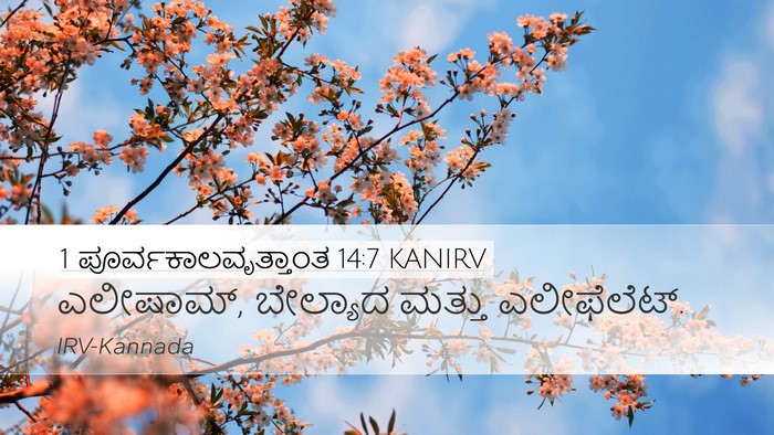 1 ಪೂರ್ವಕಾಲವೃತ್ತಾಂತ 14:7 KANIRV Bible Verse Image