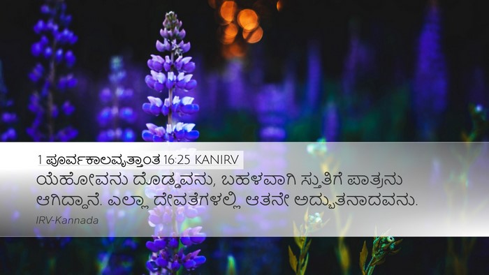 1 ಪೂರ್ವಕಾಲವೃತ್ತಾಂತ 16:25 KANIRV Bible Verse Image