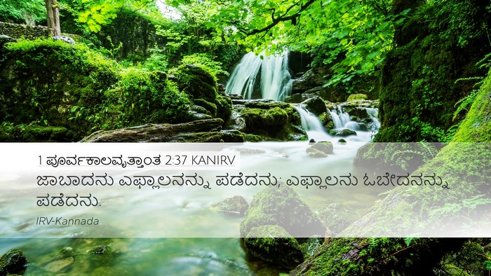 1 ಪೂರ್ವಕಾಲವೃತ್ತಾಂತ 2:37 KANIRV Desktop Wallpaper - ಜಾಬಾದನು - Desktop Bible Verse Wallpaper