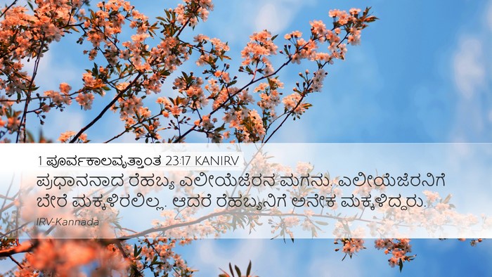 1 ಪೂರ್ವಕಾಲವೃತ್ತಾಂತ 23:17 KANIRV Bible Verse Image