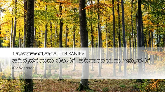 1 ಪೂರ್ವಕಾಲವೃತ್ತಾಂತ 24:14 KANIRV Bible Verse Image