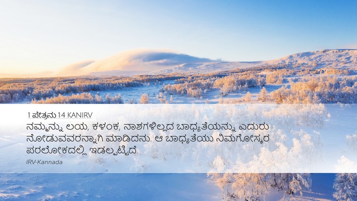 1 ಪೇತ್ರನು 1:4 KANIRV Bible Verse Image