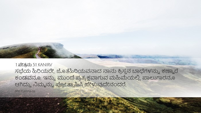 1 ಪೇತ್ರನು 5:1 KANIRV Bible Verse Image